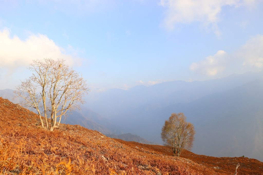 加年端山南側的山坡可以望向整段中央山脈南三段群峰