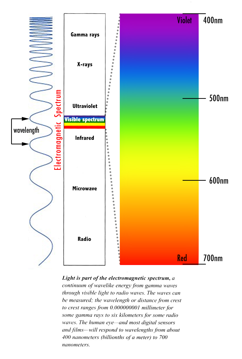 FIT Foundations of Color Week 1 2/1/12