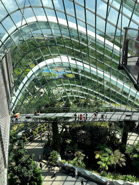 Cloud Forest Garden by The Bay Singapore - habisliburan.com