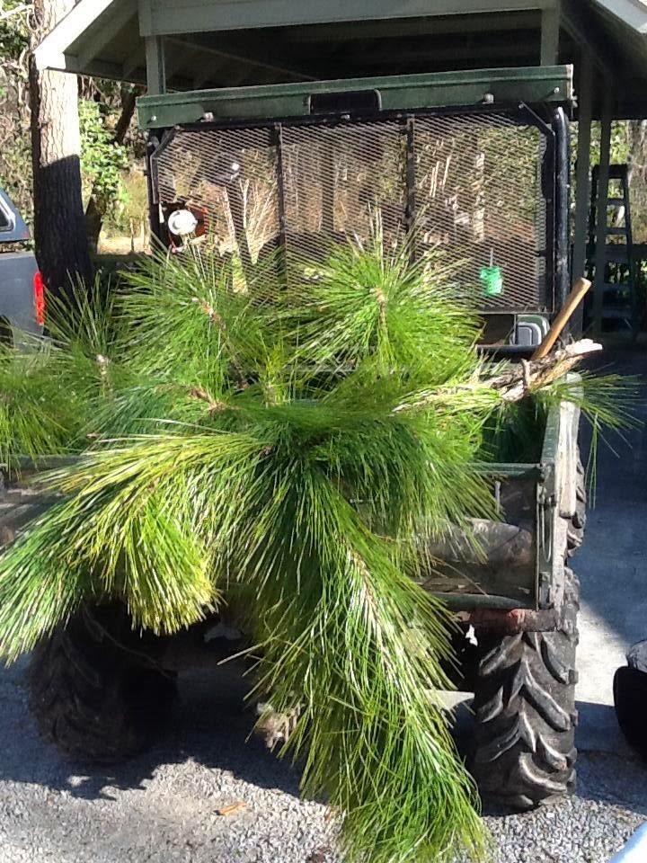 Pine And Simple Pine Needle Baskets Procrastination pine-and-simple-pine-needle-baskets-procrastination