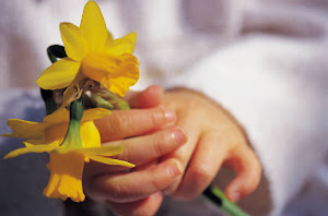 Easter Chocolate and Daffodils