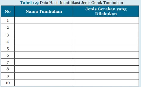 Kunci Jawaban Ipa Kelas 8 Ayo Kita Lakukan Aktivitas 1 8 Halaman 60 Semester I Wali Kelas Sd