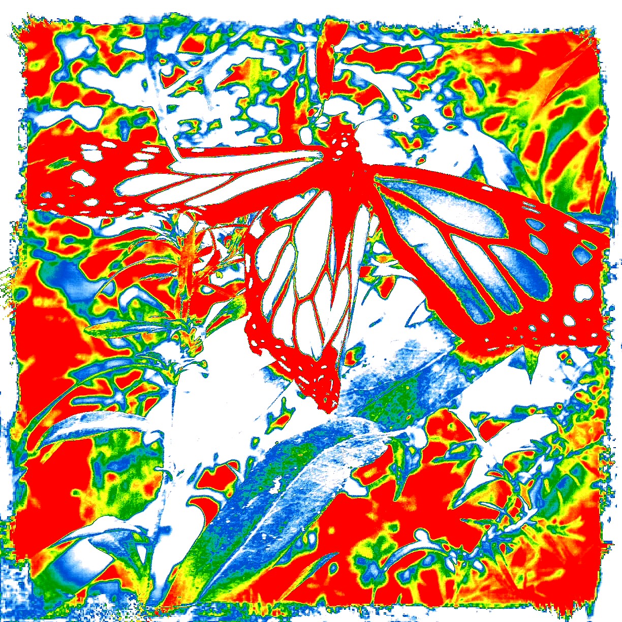 MarianneDowFoto Blog Art Photography by Marianne Dow Broken