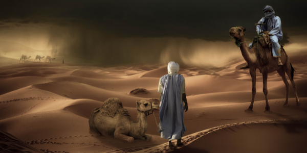 What do you need to survive in the desert What do you need to survive in the desert