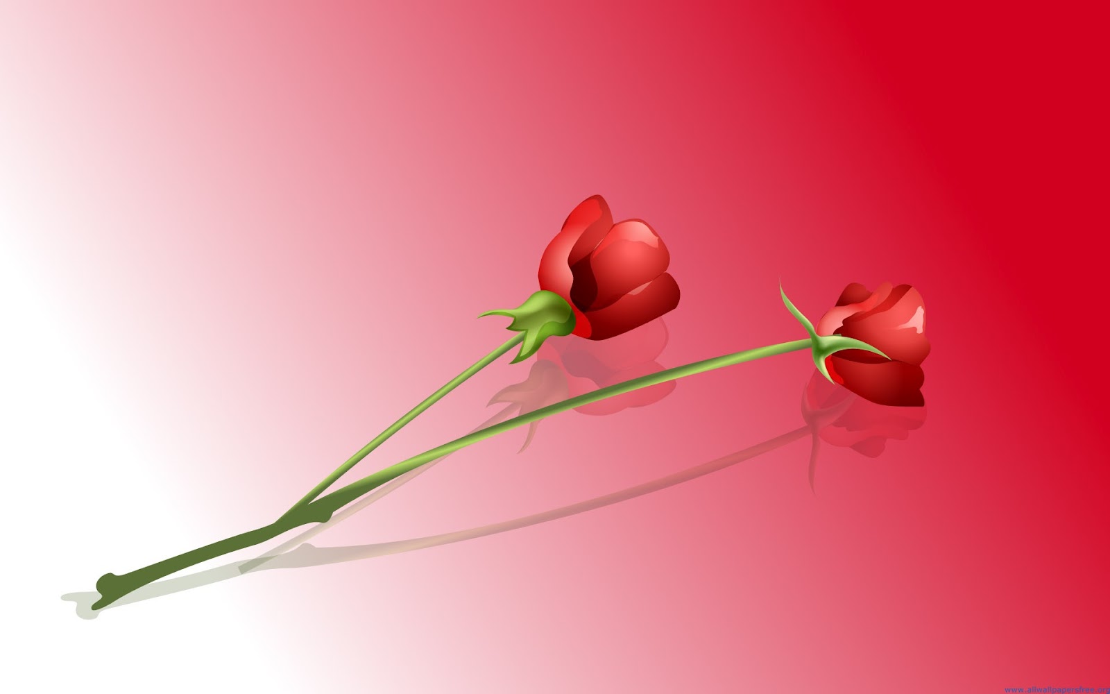 PakistanFM91: Valentine's Day Red Roses Wallpapers