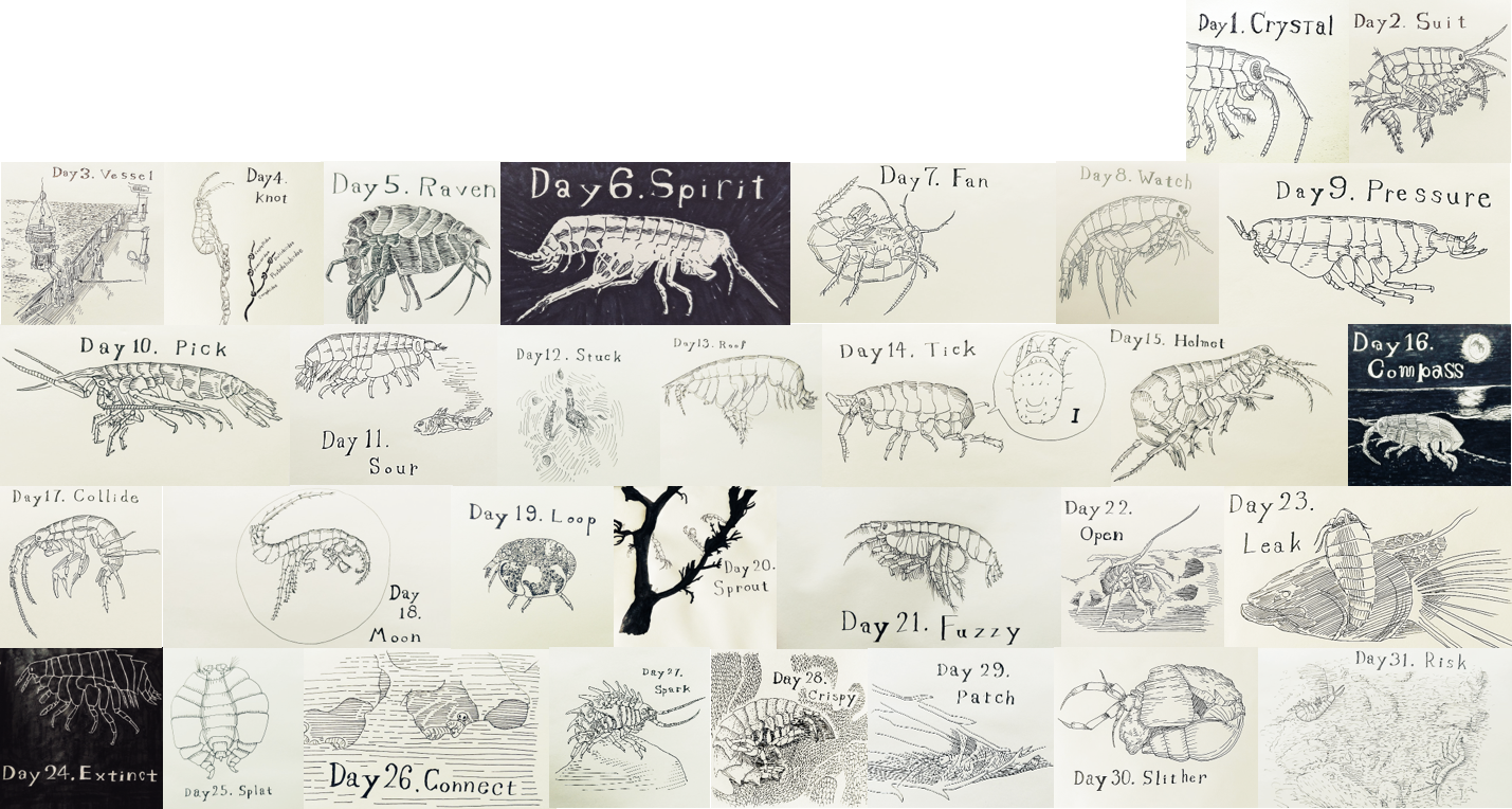 ヨコエビがえし Inktober2021(10月度活動報告)