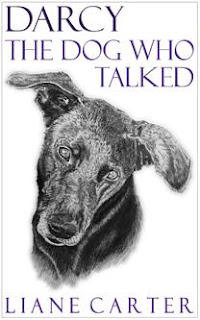 Darcy the Dog Who Talked by Liane Carter book cover