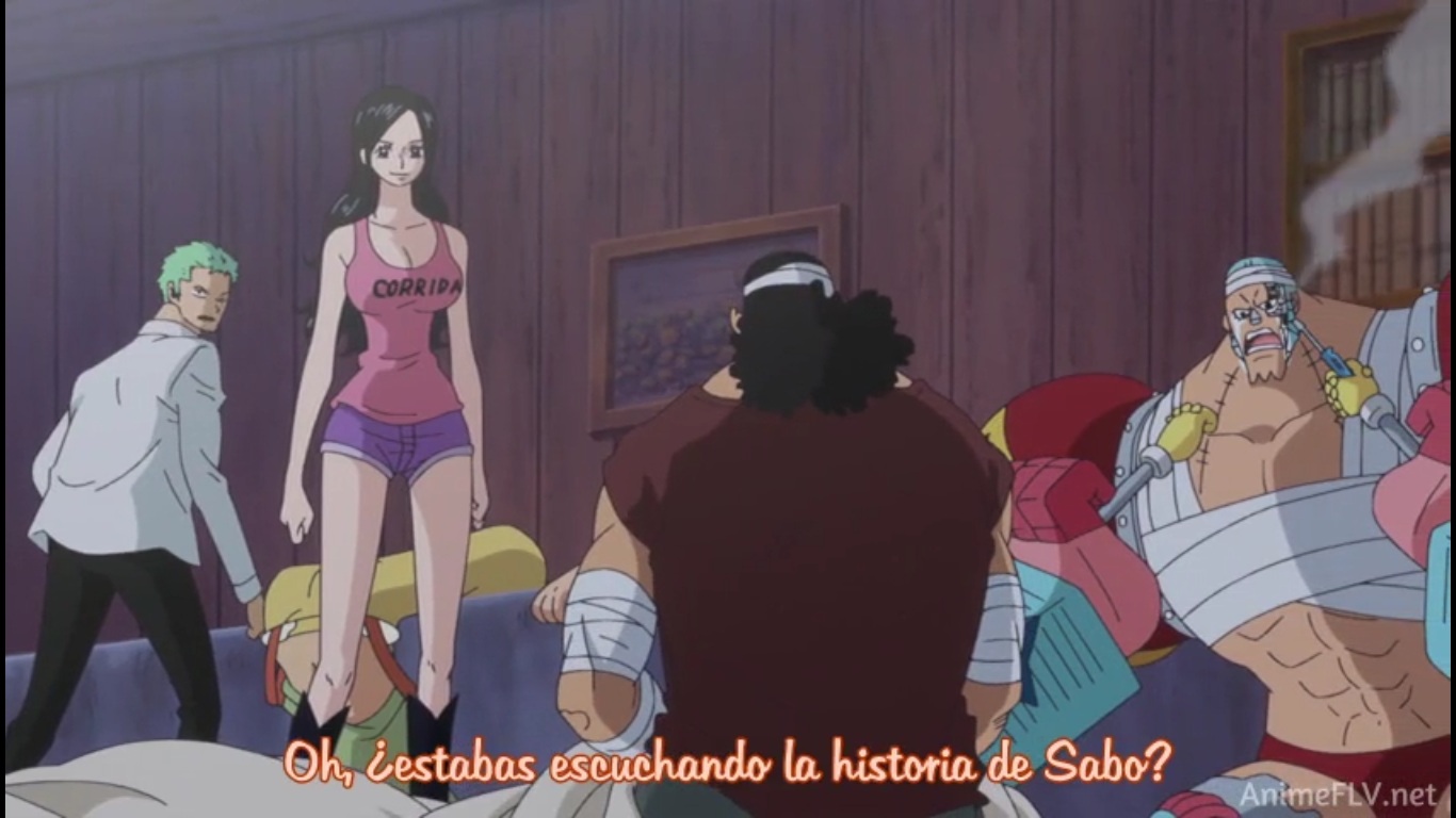 One Piece - Capitulo 739 - Subtitulado a Español ~ Hell Yeah!!