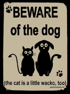 funny dog signs