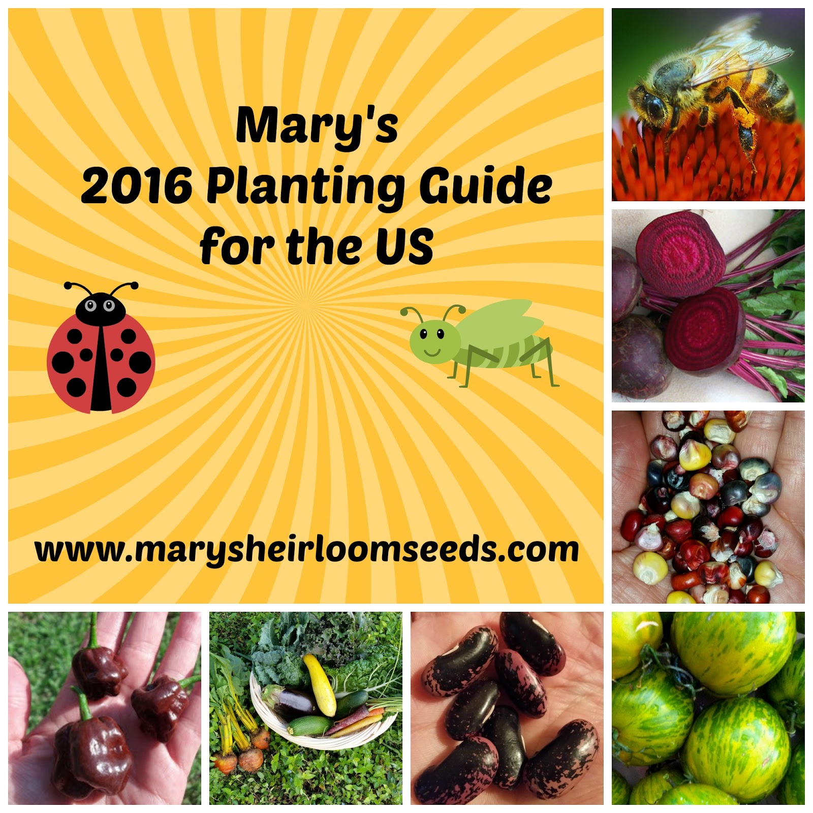 Clemson Vegetable Planting Guide