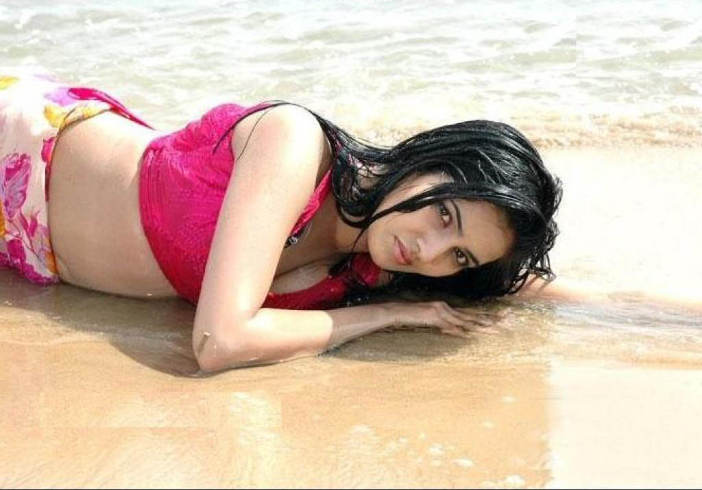 Anuradha Mehta Hot Pictures The Actress Gallery