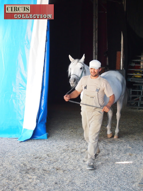 le premier cheval du cirque Krone sort de piste 