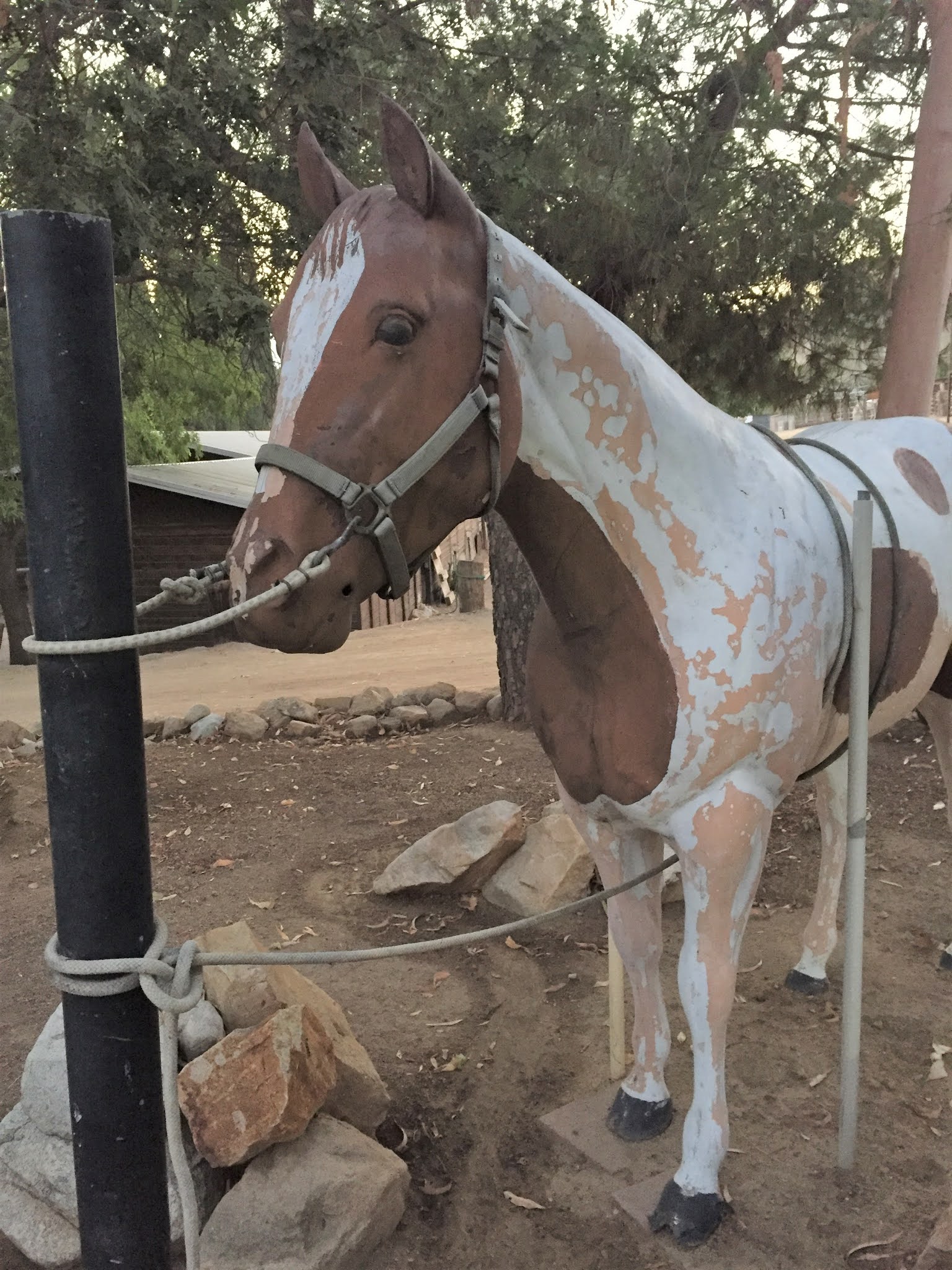 California Horse History Project Equine History in Metal and