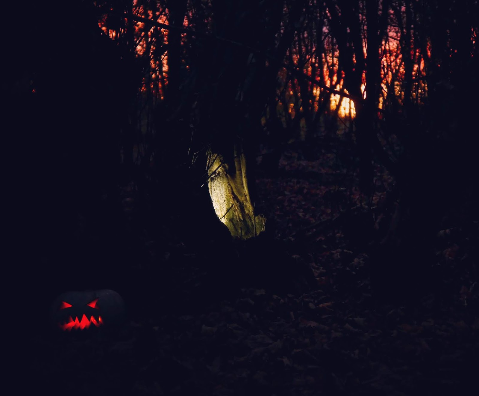 History of Halloween. How it all began.