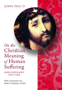 Stuart's Study: On the Christian Meaning of Human Suffering (Pauline