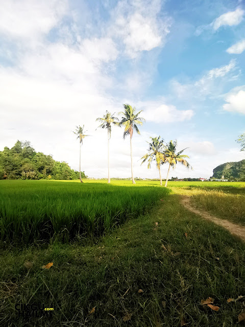 Pemandangan sekitar Bukit Mok Cun yang lawa