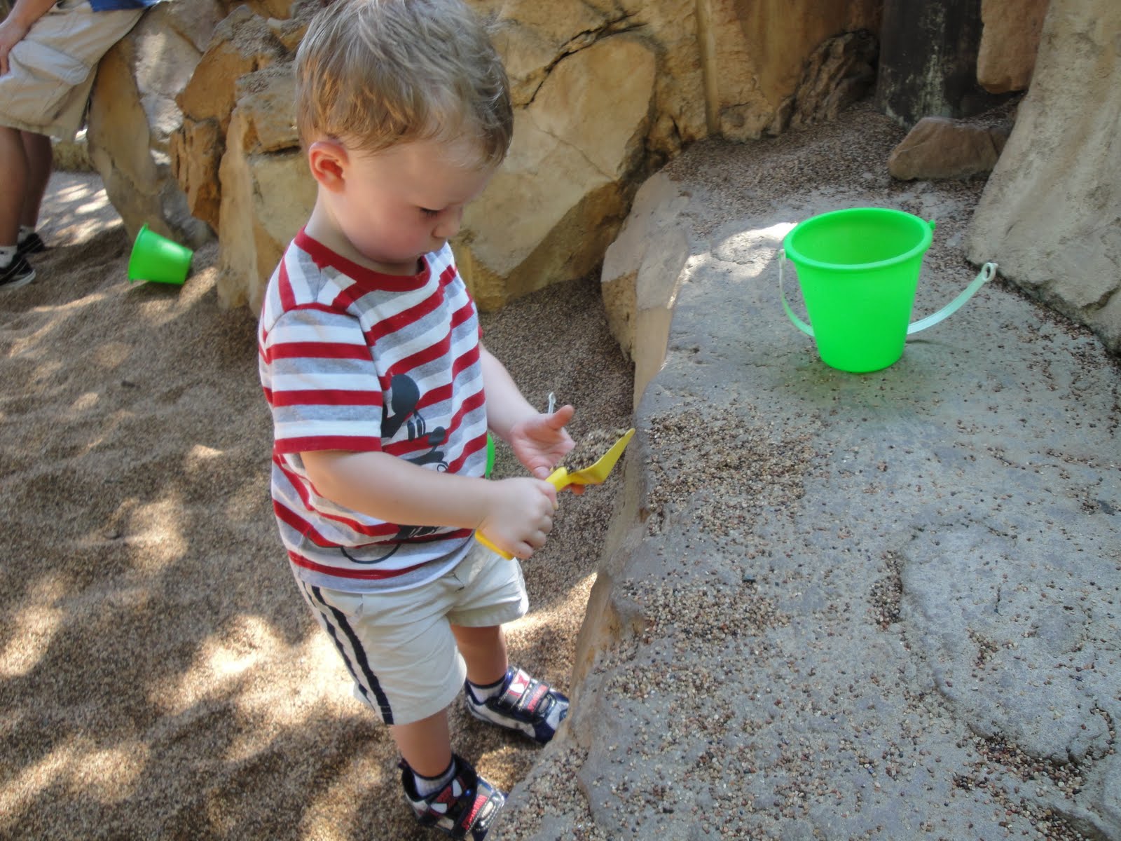 saponas-spot-hotel-and-other-fun-activities-disney-world
