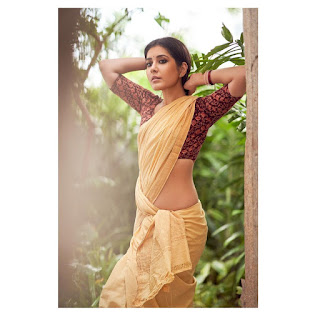Raashi Khanna Saree Photoshoot