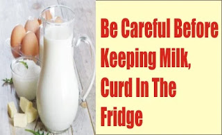 Be Careful Before Keeping Milk, Curd In The Fridge