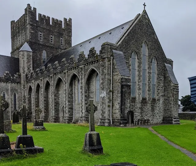 Things to do in Kildare Town: St. Brigid's Cathedral and Round Tower