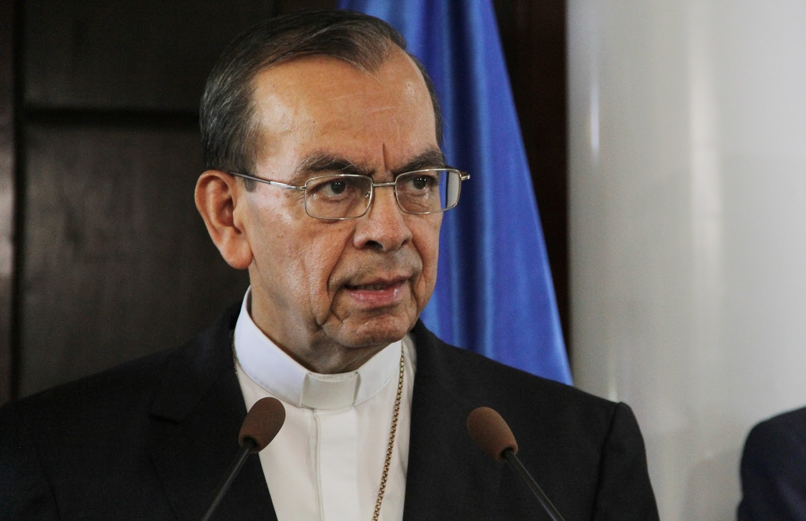 Monseñor Gregorio Rosa Chávez elevado a Cardenal por el Papa Francisco