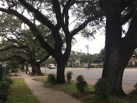 MID-CITY FLORA (NEW ORLEANS)