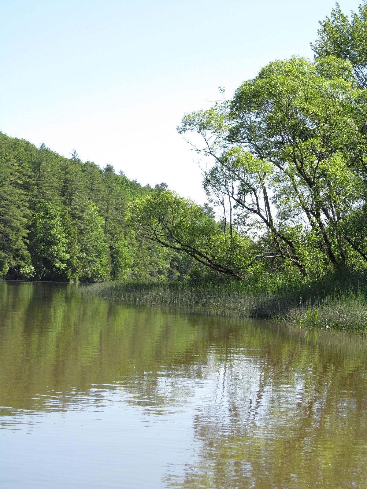 Recreational Kayaking in Maine The Eastern River, Dresden Maine
