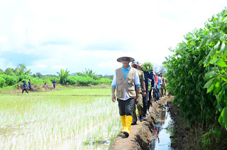 Baru 4 Tahun Mengenal Sawah, Bupati Lingga Optimistis Jadi Lumbung Pangan