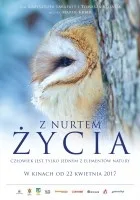 http://www.filmweb.pl/film/Z+nurtem+%C5%BCycia-2017-768202