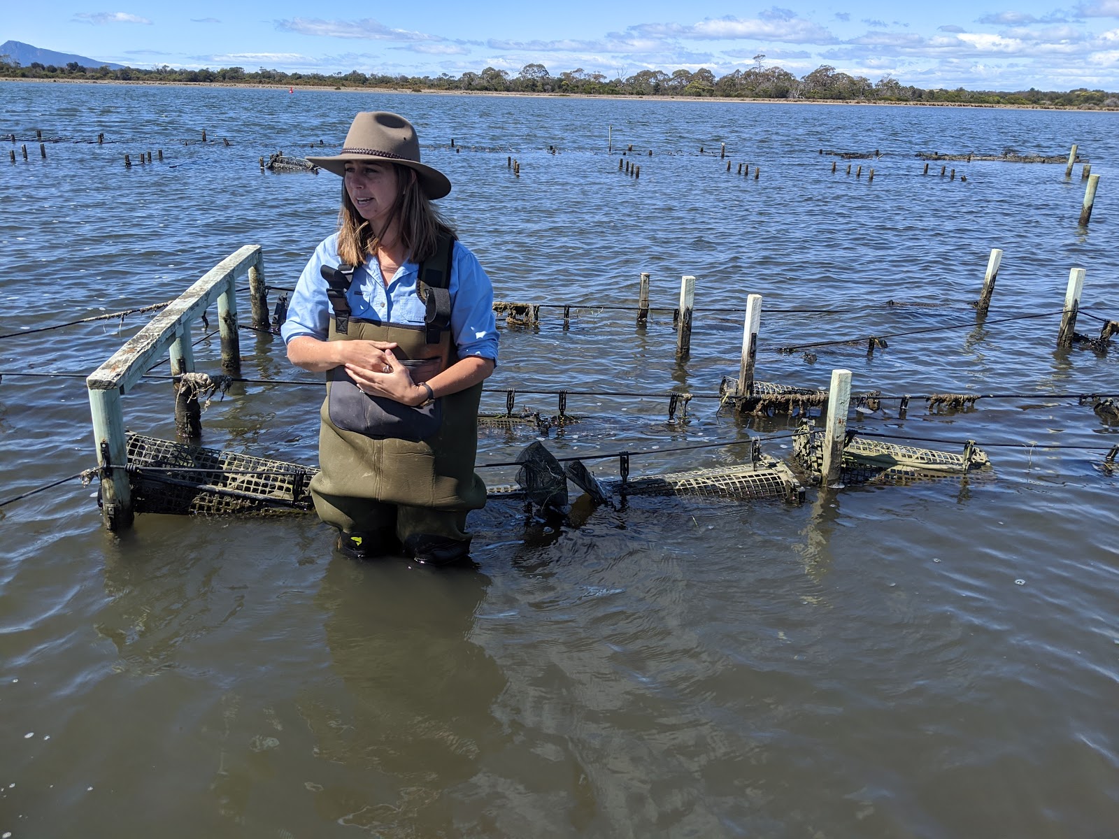 Adventures of Glenn and Angie 11.19.19 Oyster Farm, Vineyard, and