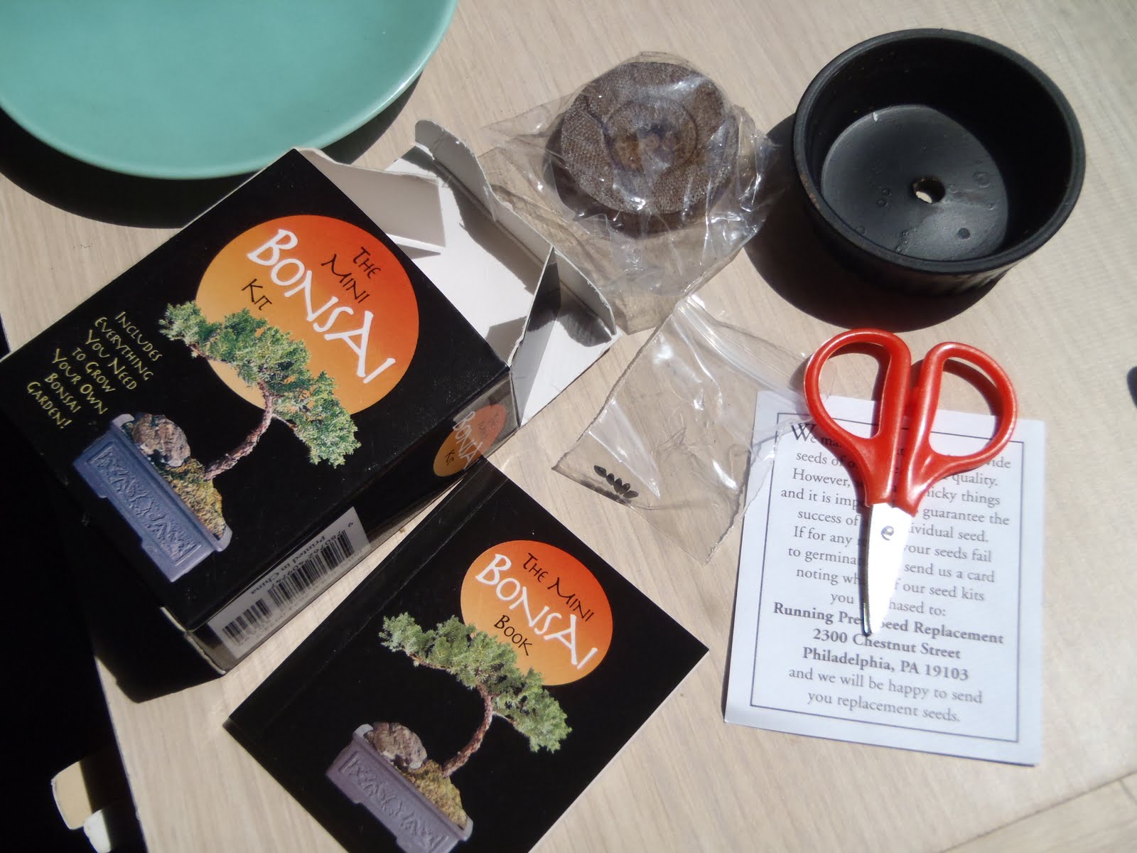 Wyvern's Peak Writing The Mini Bonsai Kit