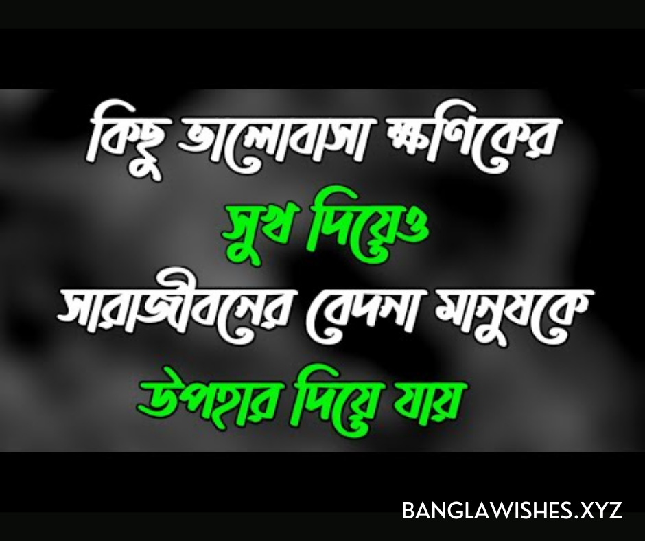 Bangla Shayari | Banglawishes