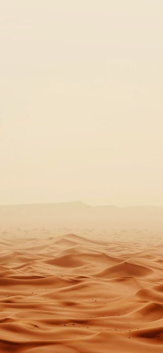 Desert under brown sky wallpaper