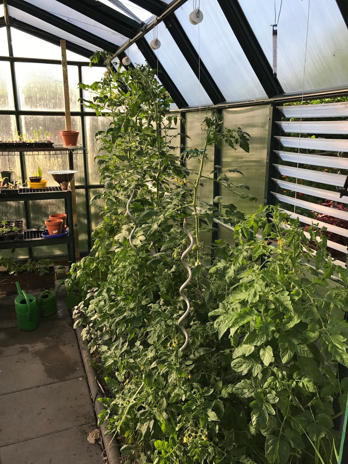 Lieblingslandleben Juni 2016