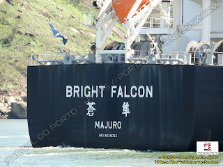 Bright Falcon