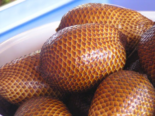 manfaat kulit salak