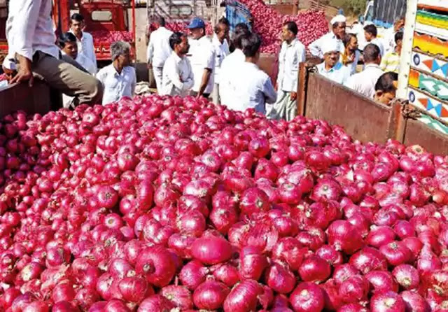 the market news of onion crop apmc market prices fall sharply agriculture in Gujarat mahuva: Gondal-Rajkot onion market prices improve