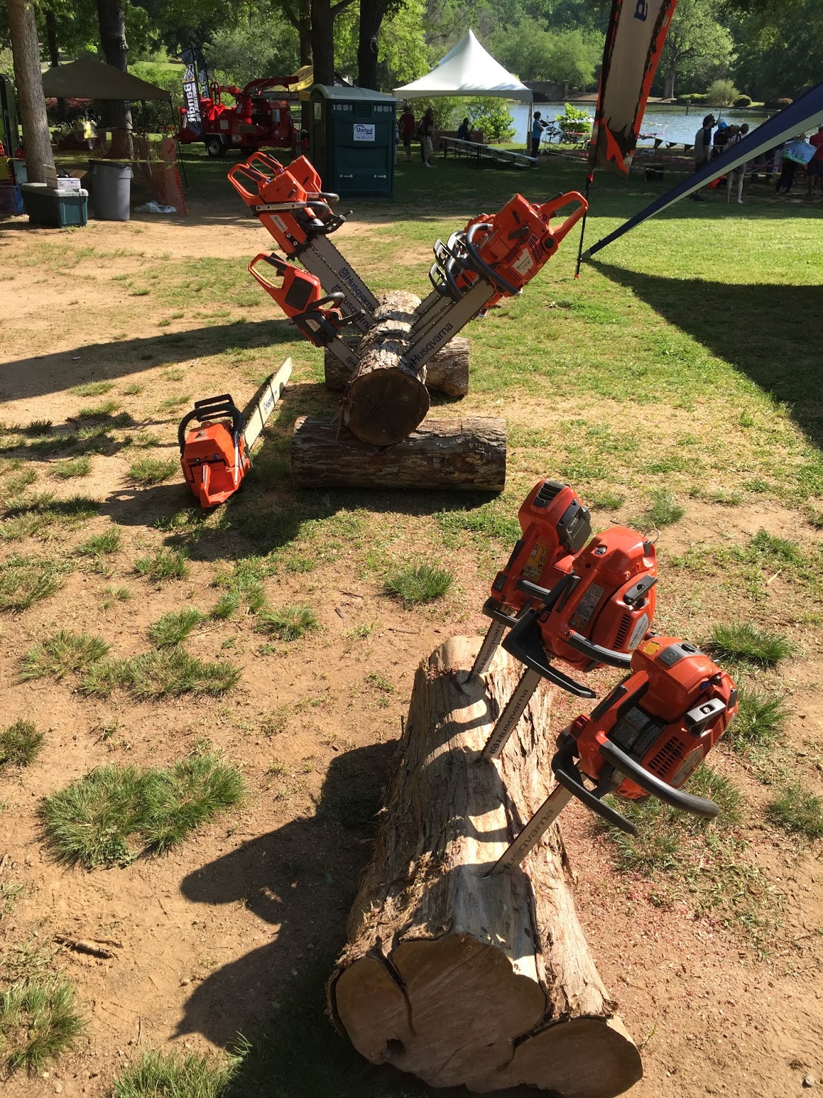 Gloria in Excelsis Deo Charlotte Arborists' Association's Tree