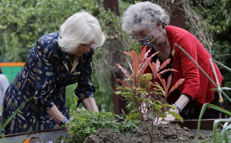 The Duchess of Cornwall wore a navy blue shirt dress with feather print detail