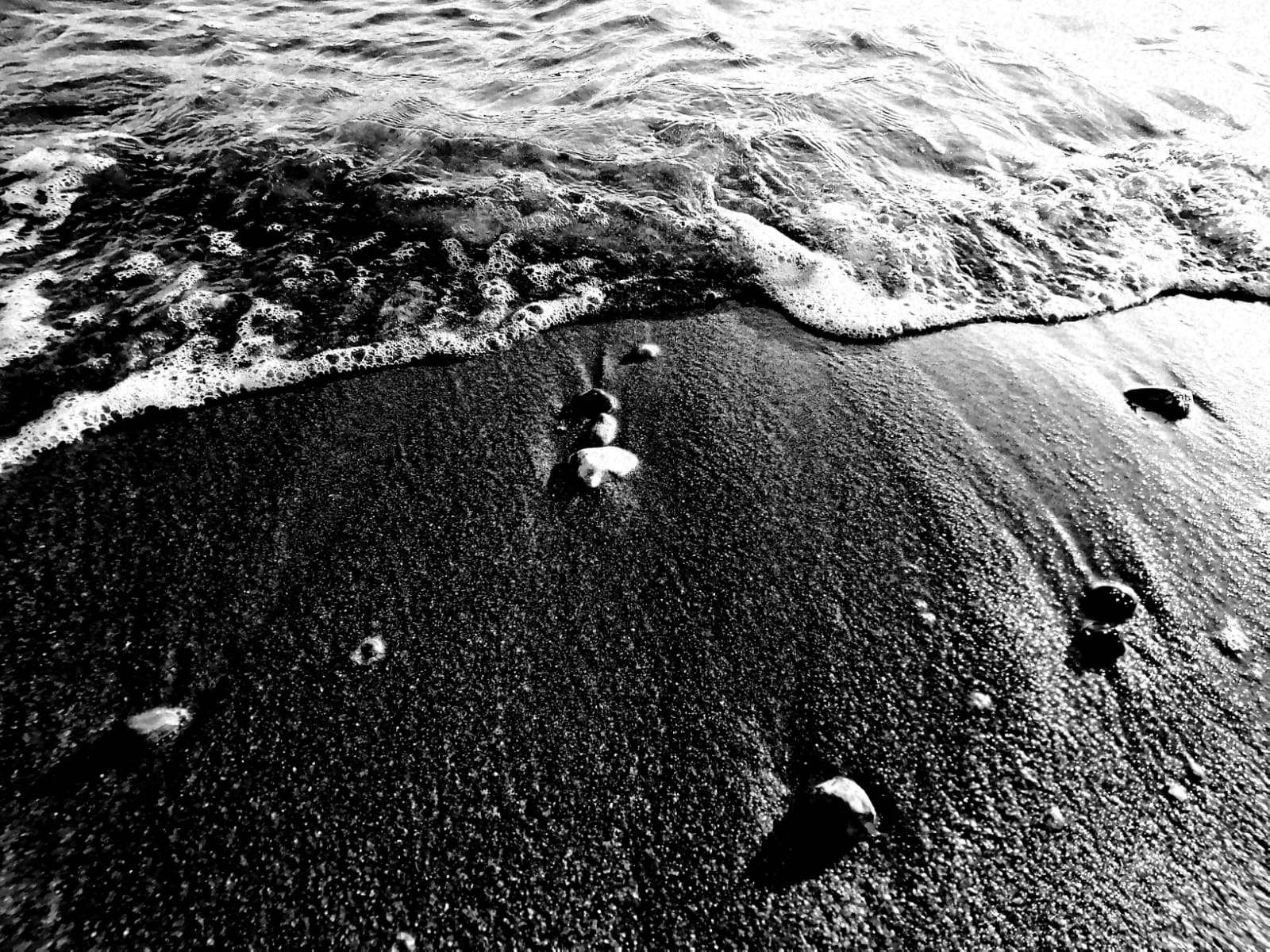 Il mare colore del Vino Il mare colore del Vino