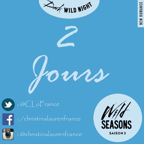 Dark Wild Night by Christina Lauren Dark Wild Night by Christina Lauren