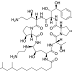 Caspofungin Acetate for injection | Antifungal