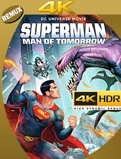 Superman: Hombre del Mañana (Superman Man of Tomorrow) (2020) 4K REMUX 2160p UHD [HDR] Latino [GoogleDrive]
