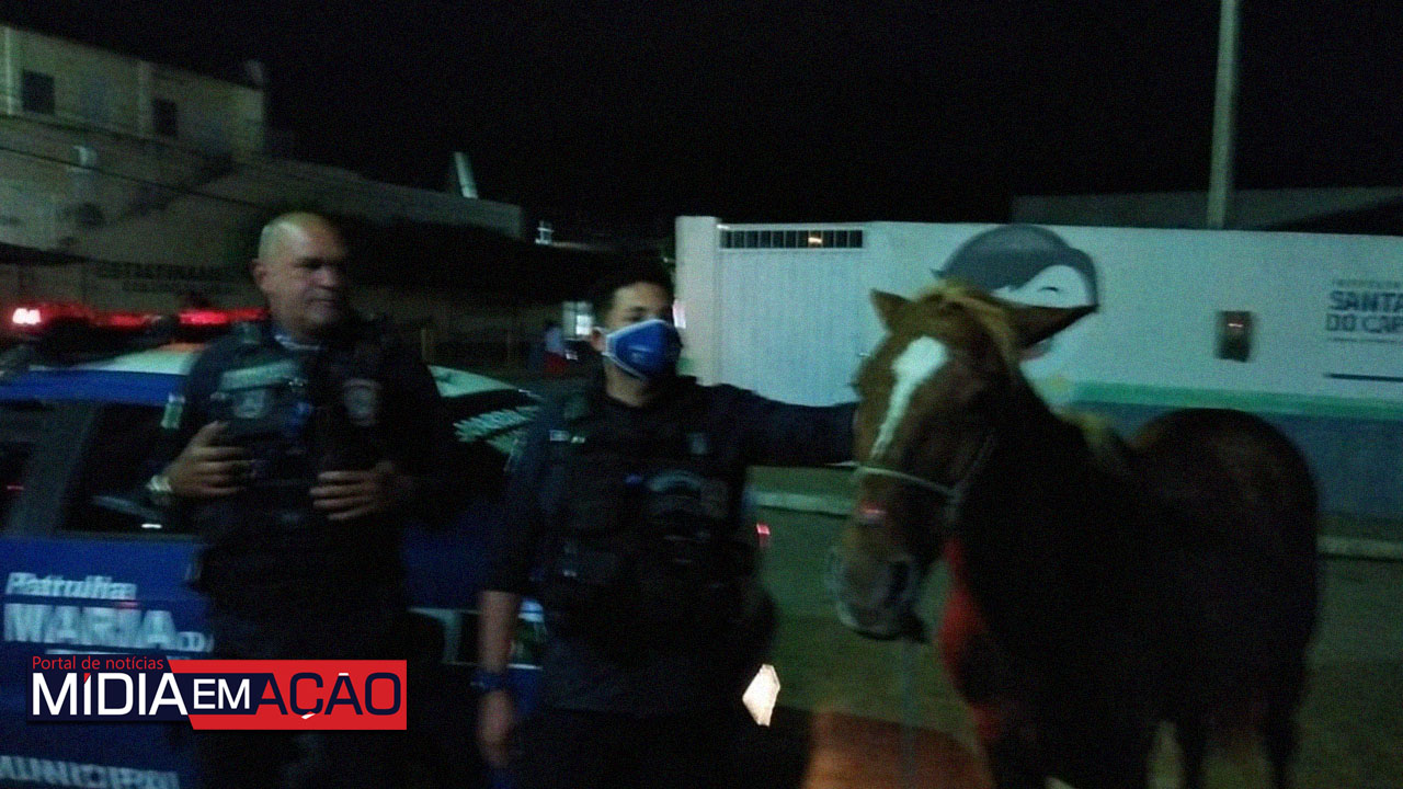 Homem é preso após ser flagrado agredindo cavalo em Santa Cruz do Capibaribe