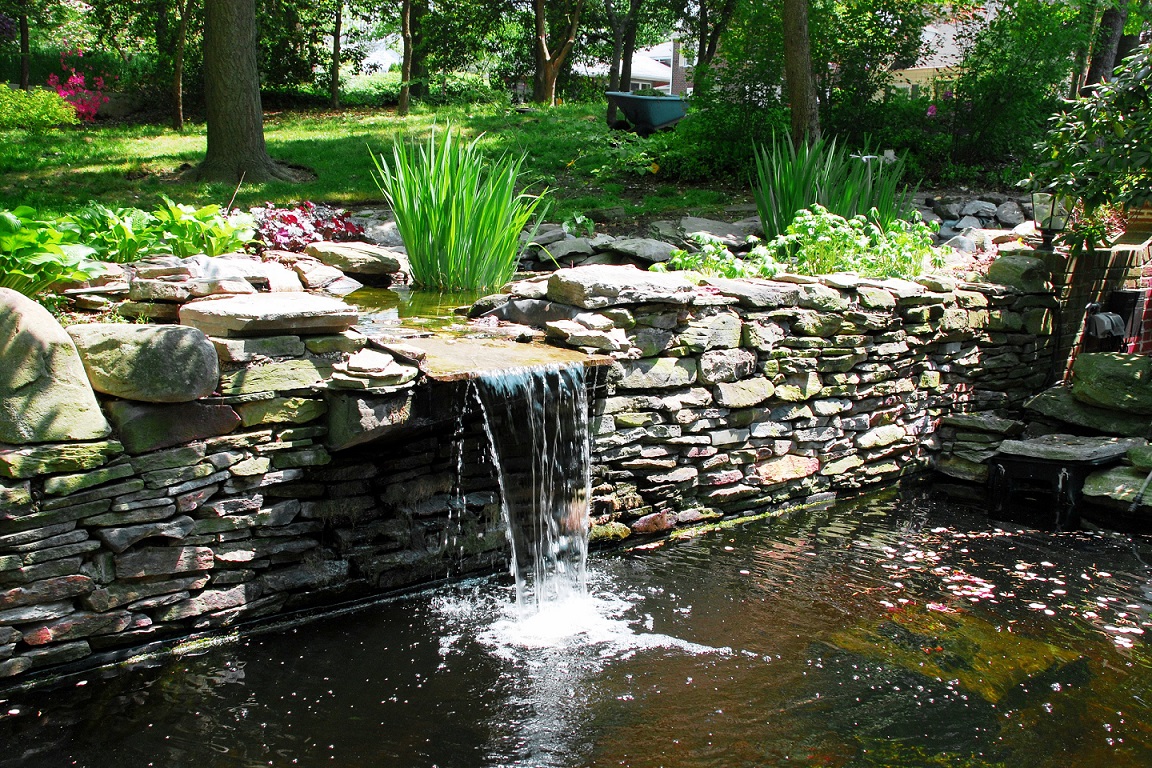 Backyard Ideas Water Gardening