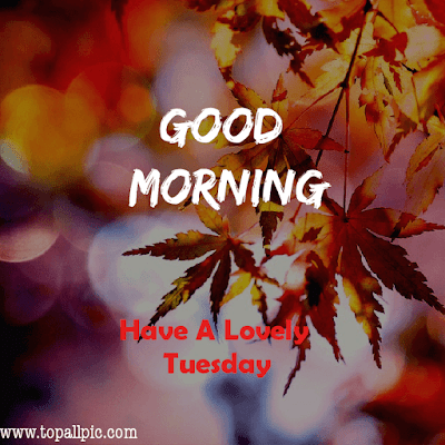 good morning tuesday images good morning tuesday images