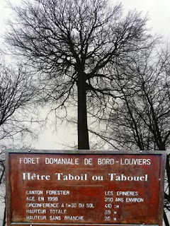 Source de l'image : http://www.bouts-du-monde.com/addenda/randos/htm/27hetre-tabouel.htm