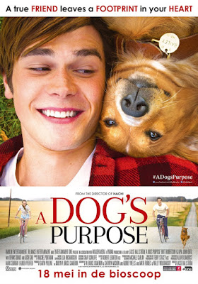 A Dog's Purpose film kijken online, A Dog's Purpose gratis film kijken, A Dog's Purpose gratis films downloaden, A Dog's Purpose gratis films kijken, 