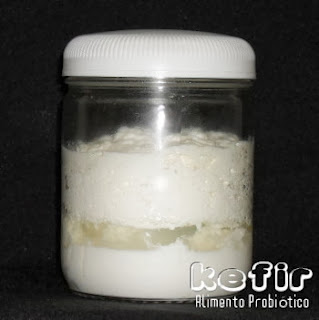 Pote com kefir de leite pronto, ele se separa em varias partes, é normal isso ocorrer.