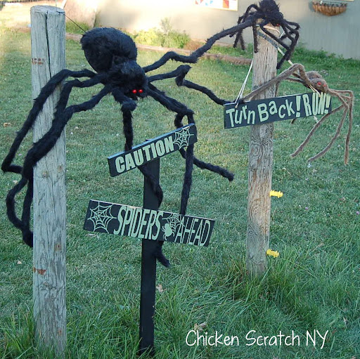 Halloween Spider Warning Signs